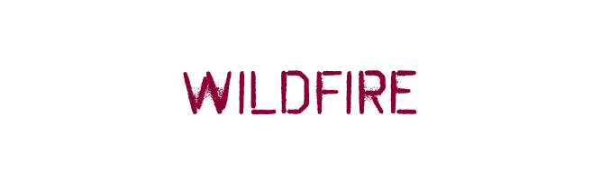 Wildfire